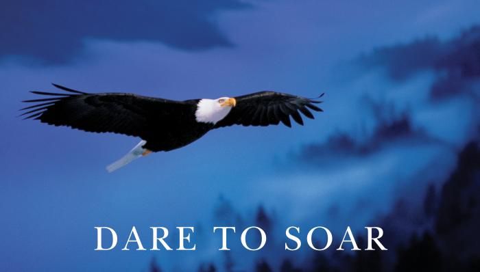 Pole Vault Inspiration Dare to Soar.